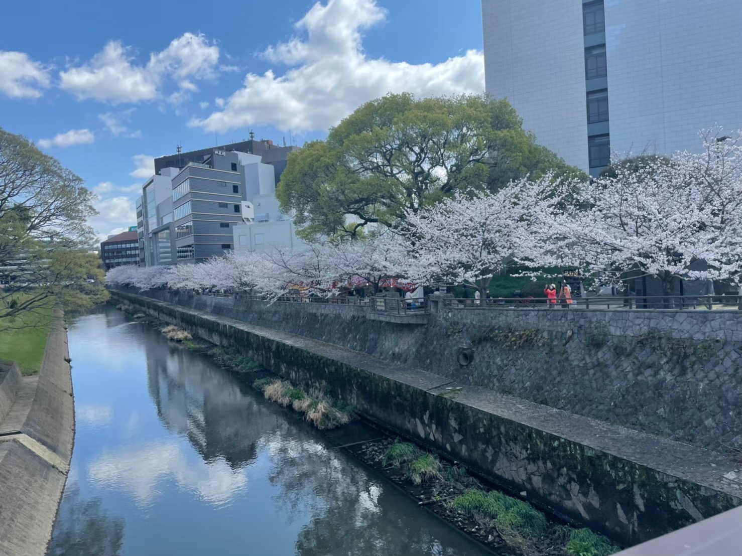 熊本城お堀