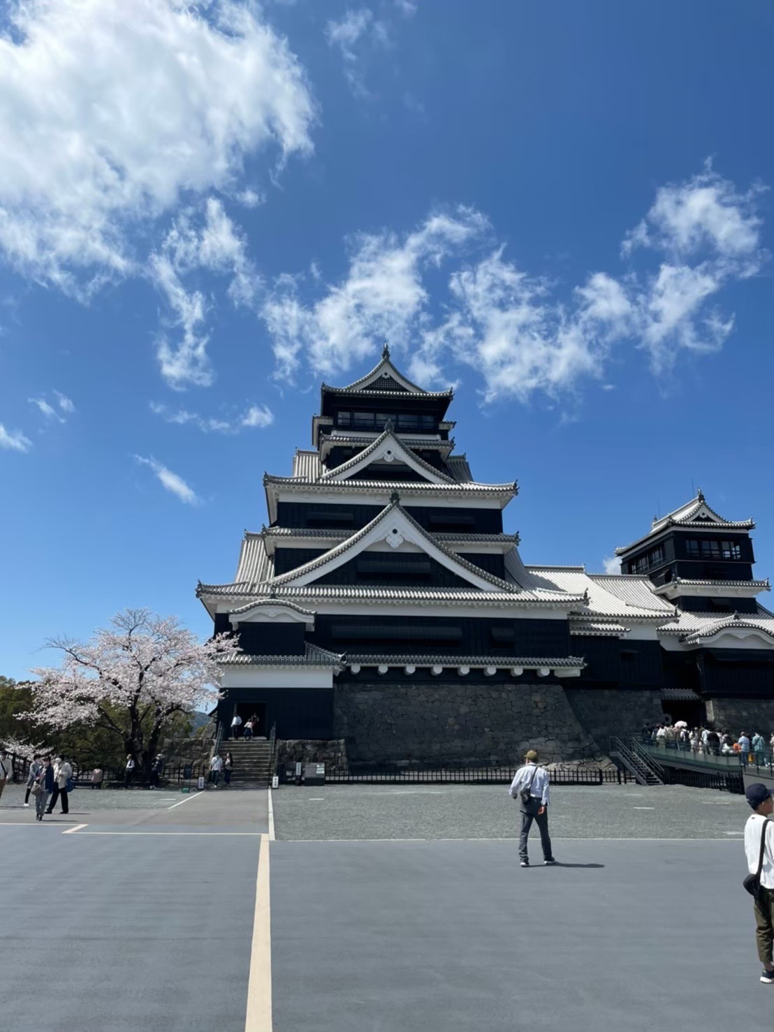 熊本城目の前